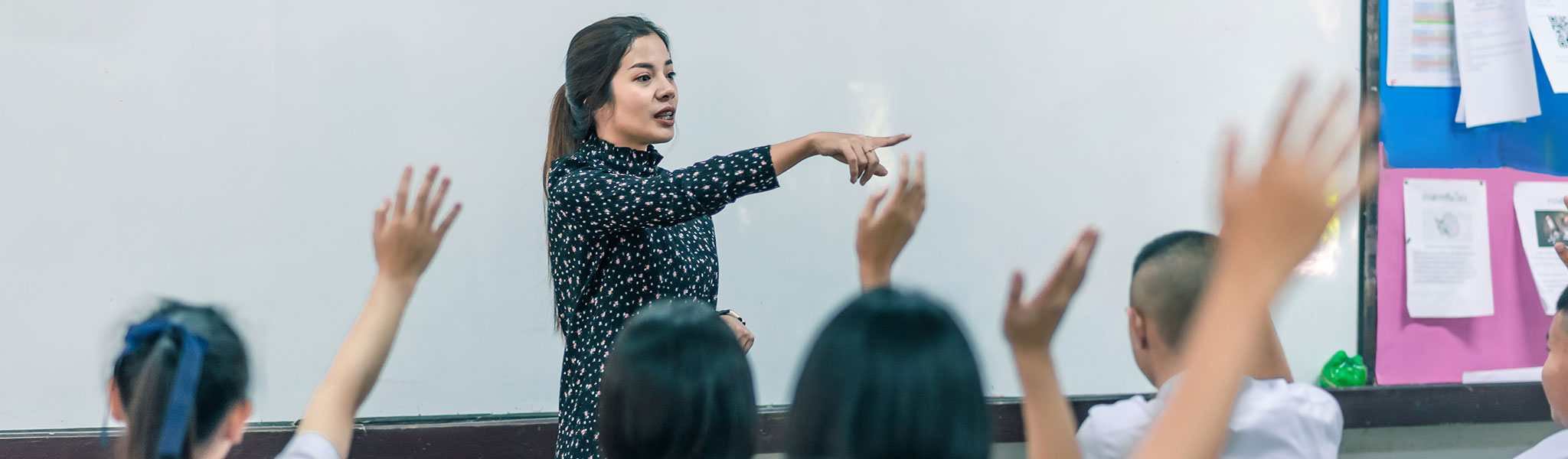 Teacher